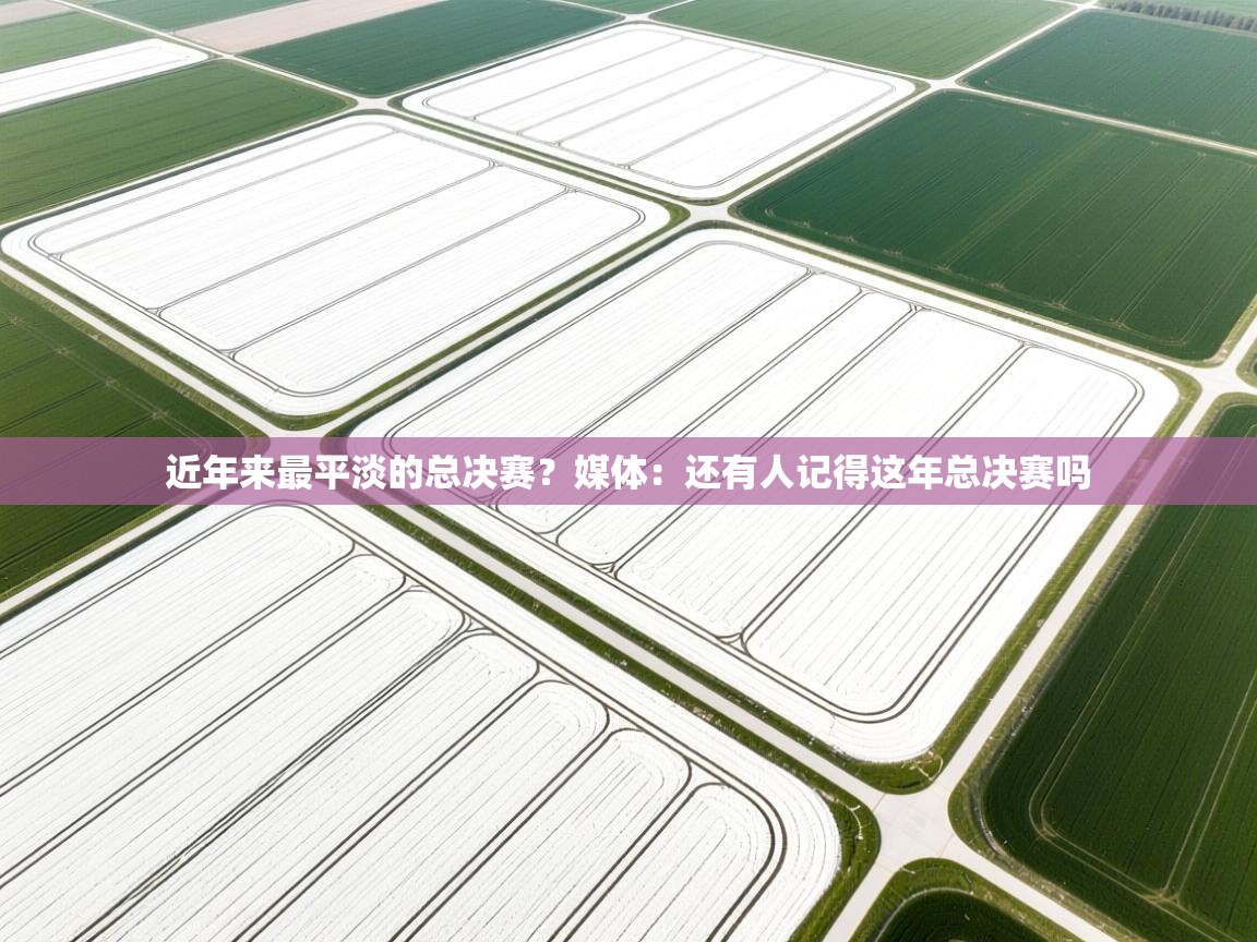 近年来最平淡的总决赛?媒体:还有人记得这年总决赛吗 第1张