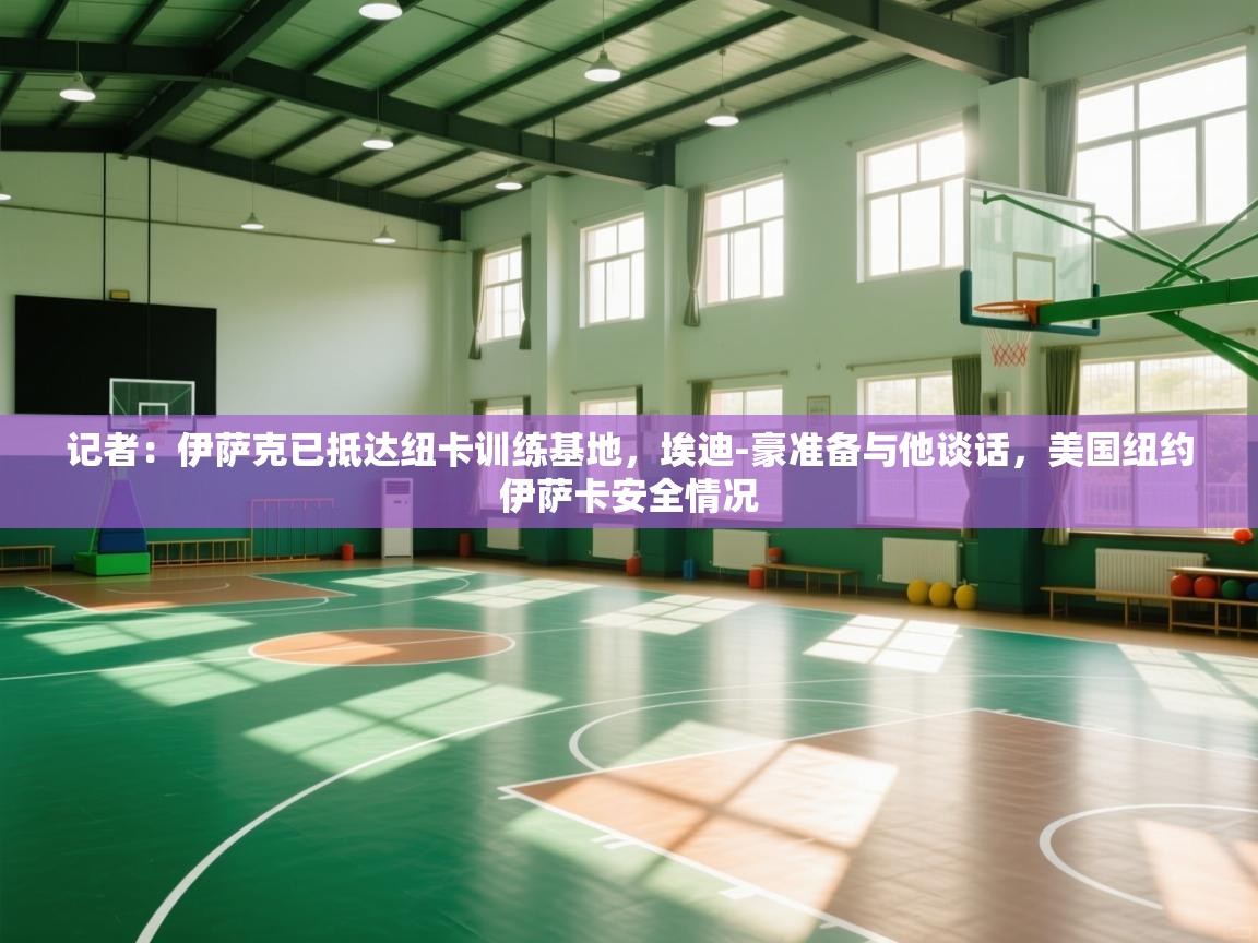 记者:伊萨克已抵达纽卡训练基地,埃迪-豪准备与他谈话,美国纽约伊萨卡安全情况 第1张