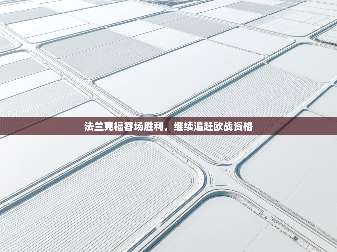 法兰克福客场胜利,继续追赶欧战资格 第2张