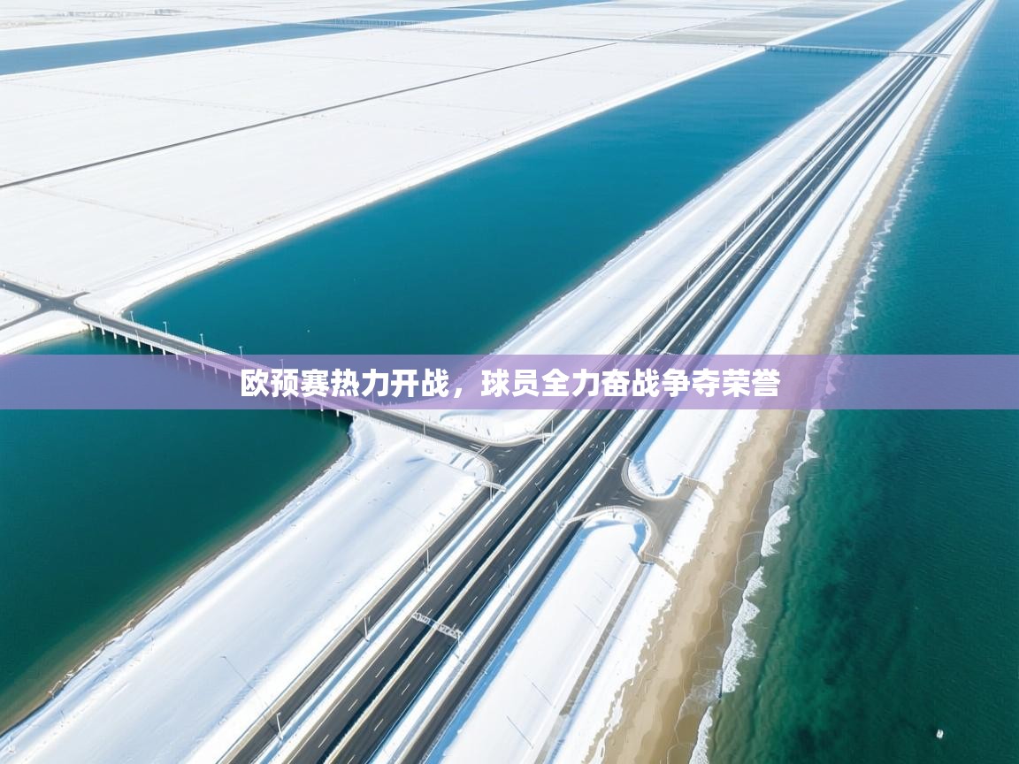 欧预赛热力开战，球员全力奋战争夺荣誉  第1张