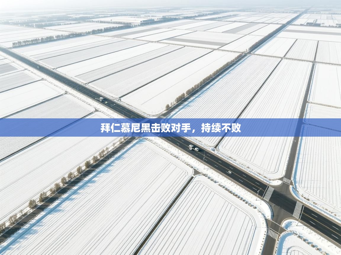 拜仁慕尼黑击败对手，持续不败  第1张