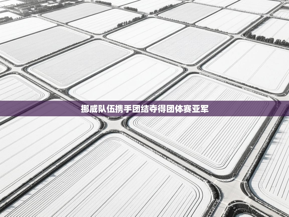 挪威队伍携手团结夺得团体赛亚军  第1张