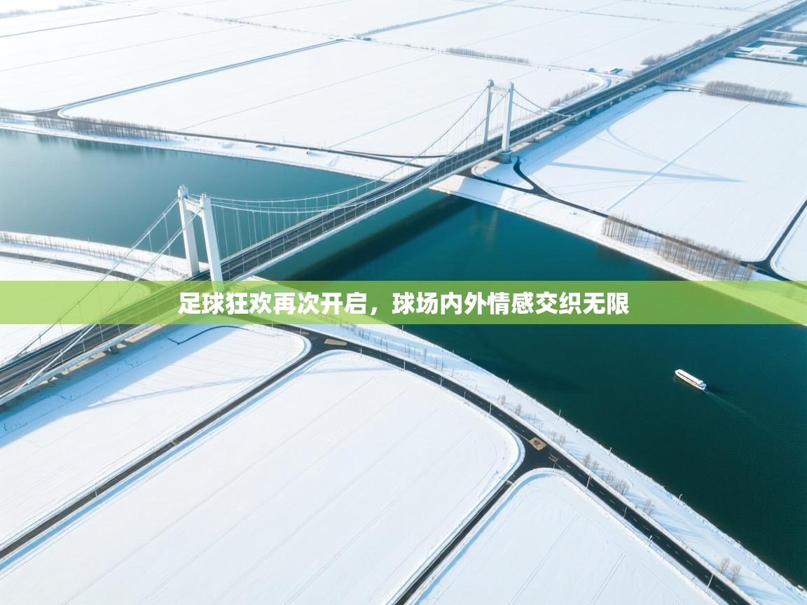 足球狂欢再次开启，球场内外情感交织无限  第2张