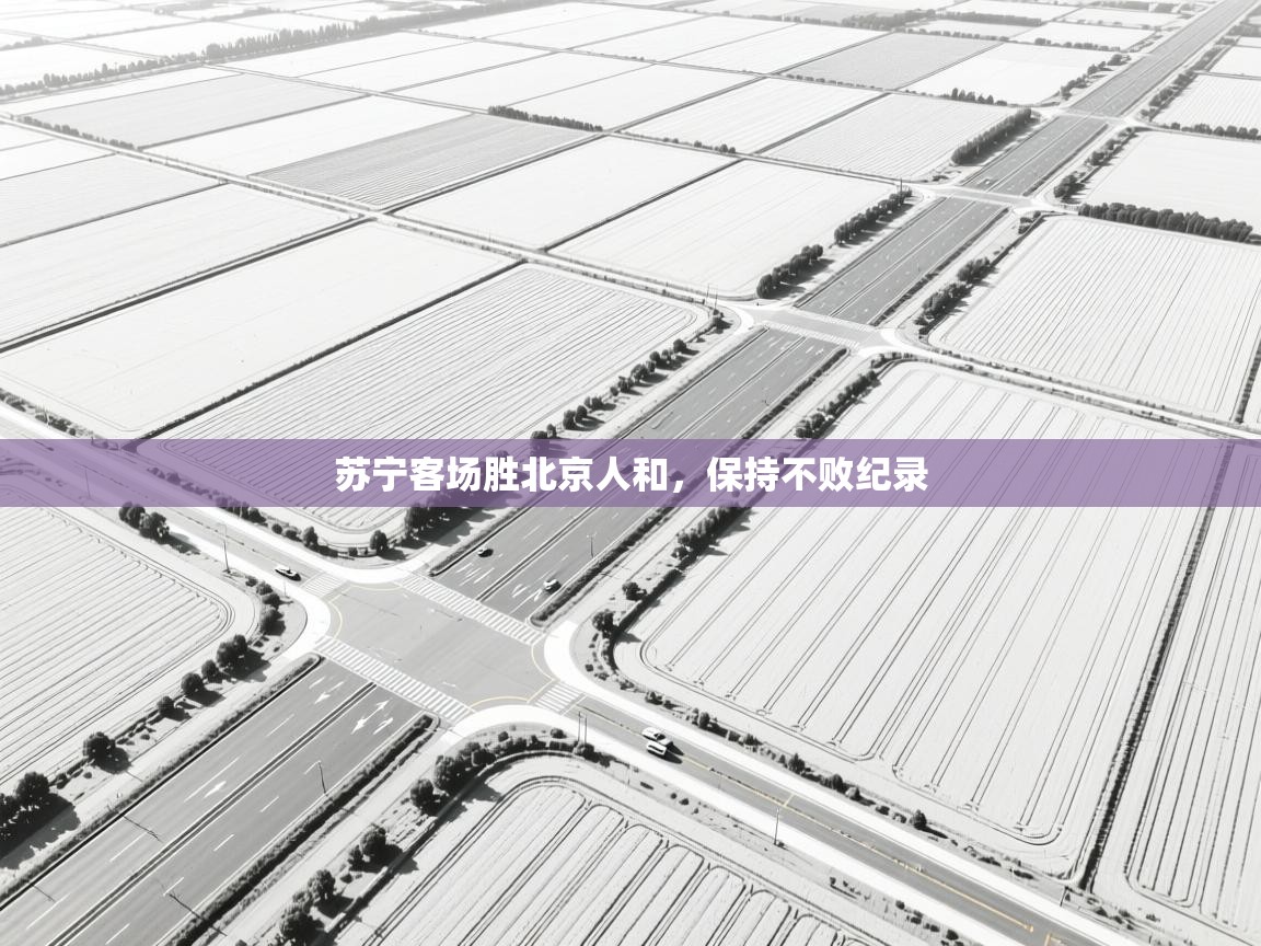 苏宁客场胜北京人和，保持不败纪录  第1张