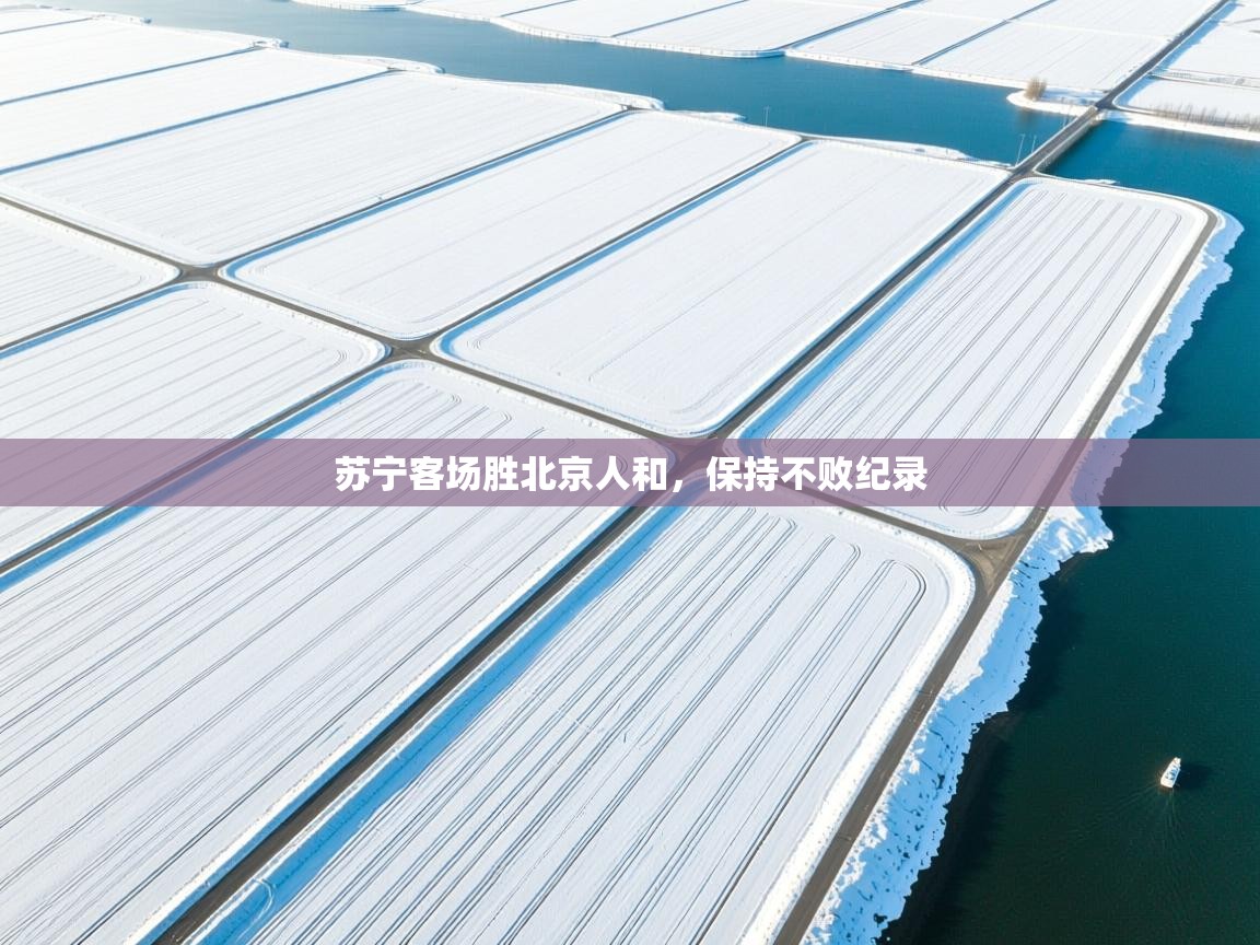 苏宁客场胜北京人和，保持不败纪录  第2张